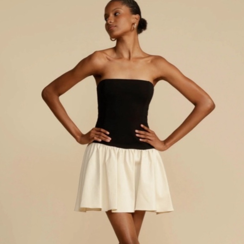 NWT Arcina Ori Celine dress XS sold out style drop waist